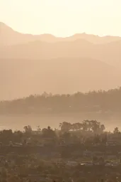 Golden Hills