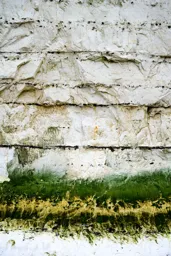 Beachy Head Detail II