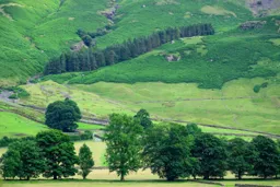 Lake District Hillside