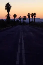 Oasis Dawn