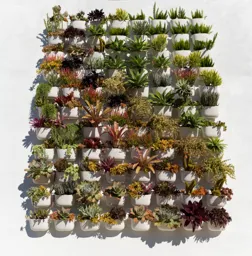 Garden Wall