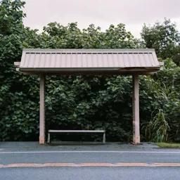 North Shore Bus Stop