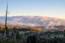 Cuyamaca Dawn