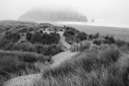 Morning Fog at Morro Bay