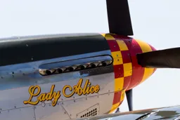 Lady Alice