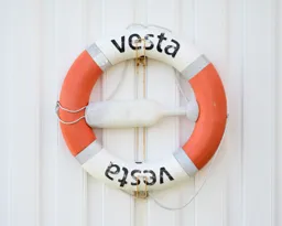 Vesta Life Ring