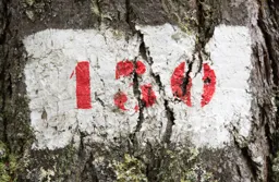 Trail Marker 130