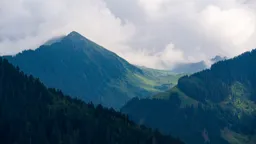 Looking Up Towards the Edelhütte