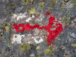 Trail Marker