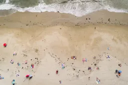Spring at the Beach