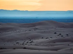 Dunes After Dusk