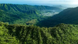 Above Manoa Valley