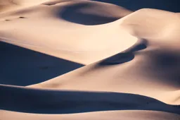 Late Day Light on the Dunes