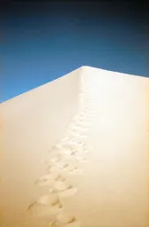 The Steep Climb to the Top of the Dunes