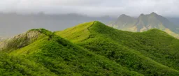 Kaiwa Ridge at Dawn