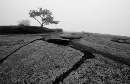 Foggy Morning on Stone Mountain