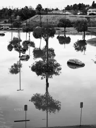 After the Deluge