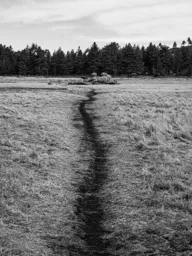 Dark Path