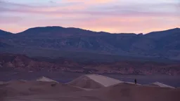 Walking the Dunes at Dawn