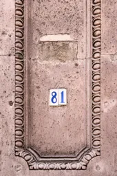 Number 81