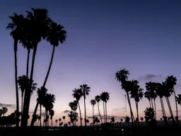 Mission Bay Sunset