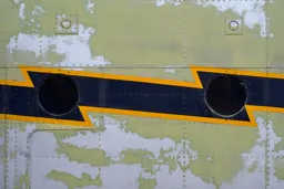 Black and Yellow