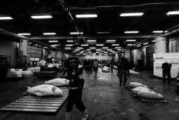 Tuna Auction