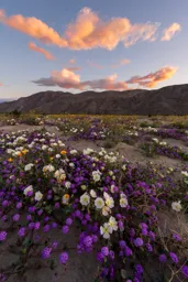 Sunrise at Henderson Canyon