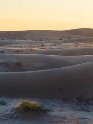 Sunset at the Dunes