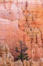 Canyon Colors III