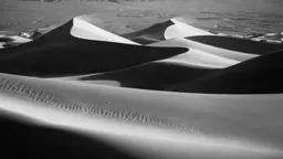 Windy Day at the Dunes