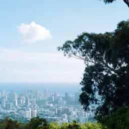 Tantalus Drive View