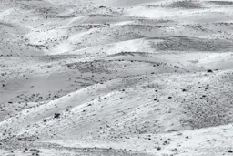White Hills