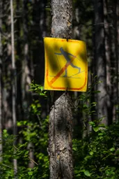 No Skiing