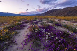 Sunset at Henderson Canyon