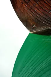 Viking Reflection