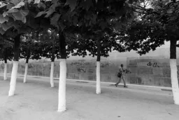 Jardin du Mont des Arts