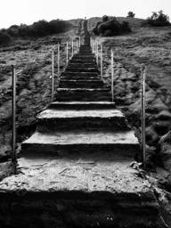 The Long Path to the Top