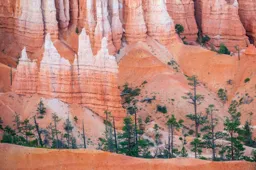 Canyon Colors