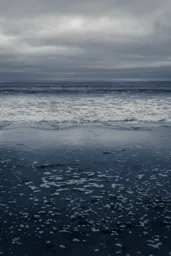 Black's Beach