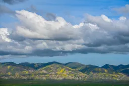 Carrizo Plain III