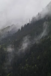 Foggy Mountain