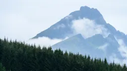 Lofoten Peaks Above the Fog