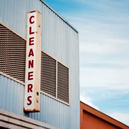 The Cleaners