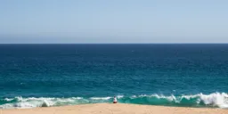 Emperor of the Ocean