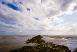 Looking out from Foulness Island